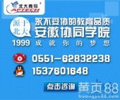 淮南電腦網絡工程與相關產品銷售服務概覽